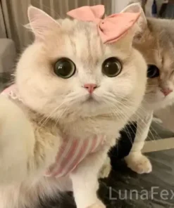 Winter Sale Luna – My Simulated Robot Cat