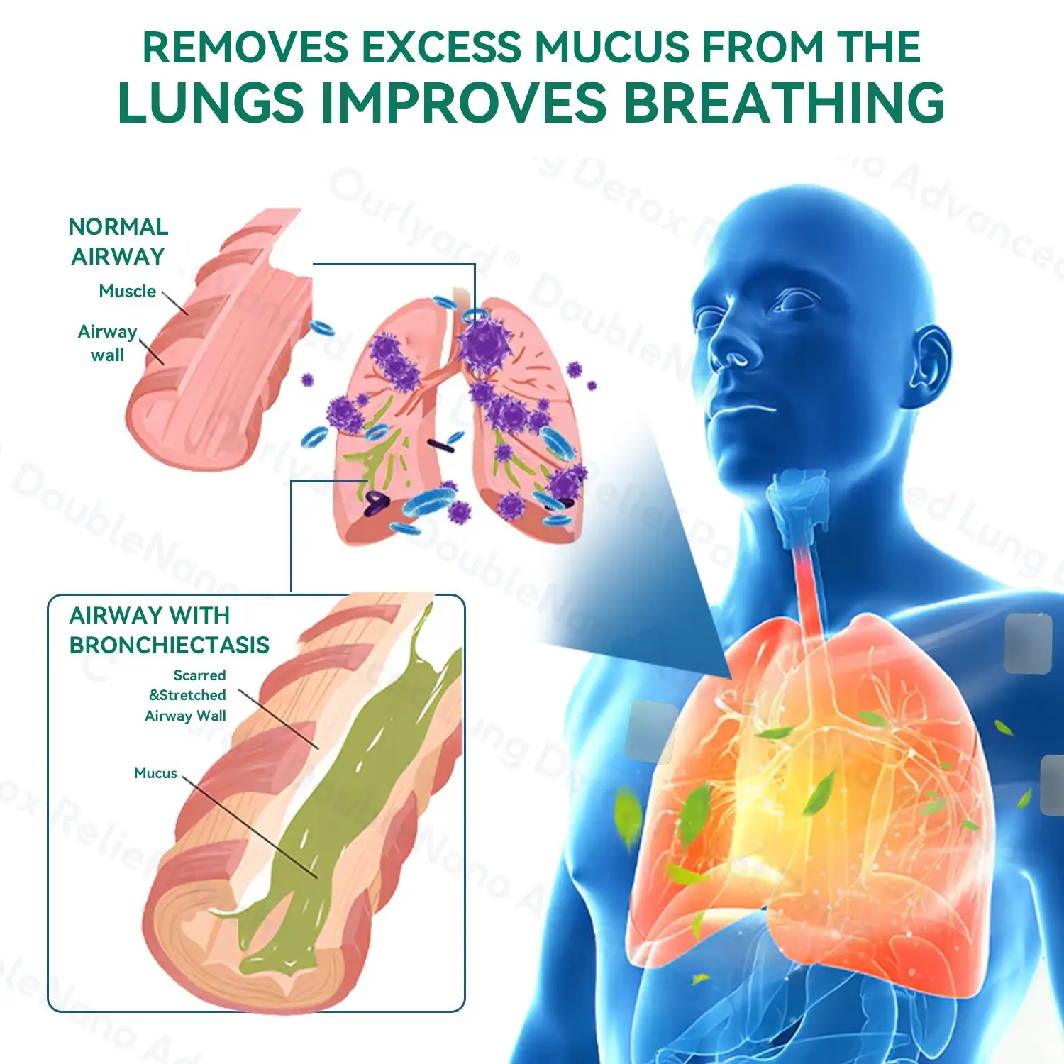 DoubleNano COPD Relief ๐ถ๐๐๐ ๐ณ๐๐๐๐๐
- Image 5