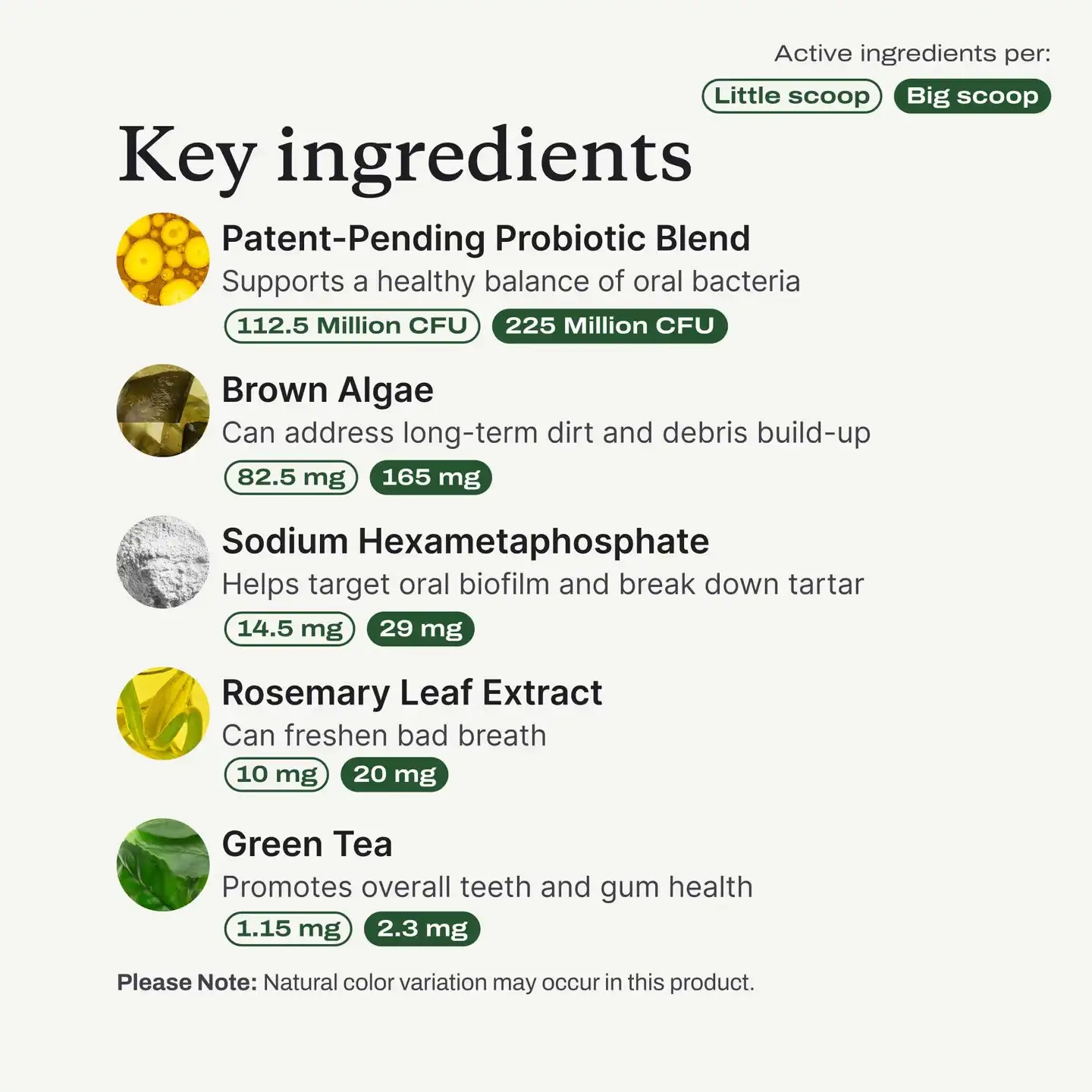 PetsBright Advanced Dental Powder for Clean Teeth & Fresh Breath - Image 7