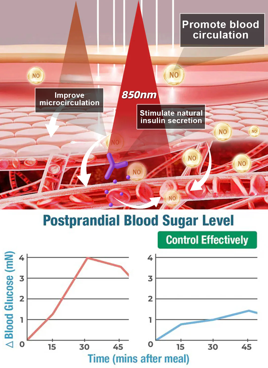 Ion Shaping Shorts - Image 2