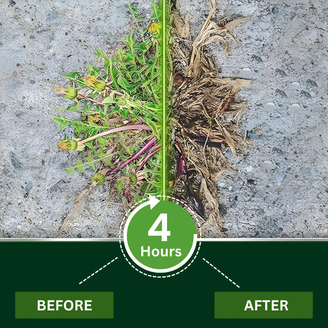 2-in-1 Weed Killer - Image 3