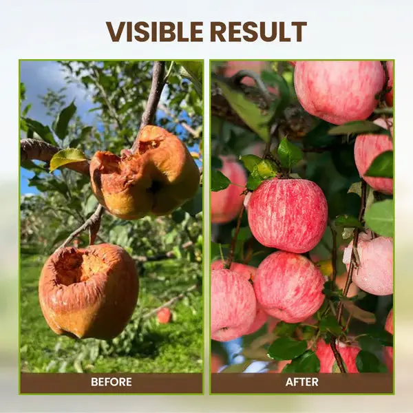 Soil Pro Activator - Image 5