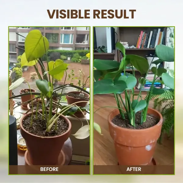 Soil Pro Activator - Image 6