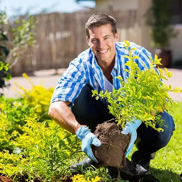 Soil Pro Activator - Image 8